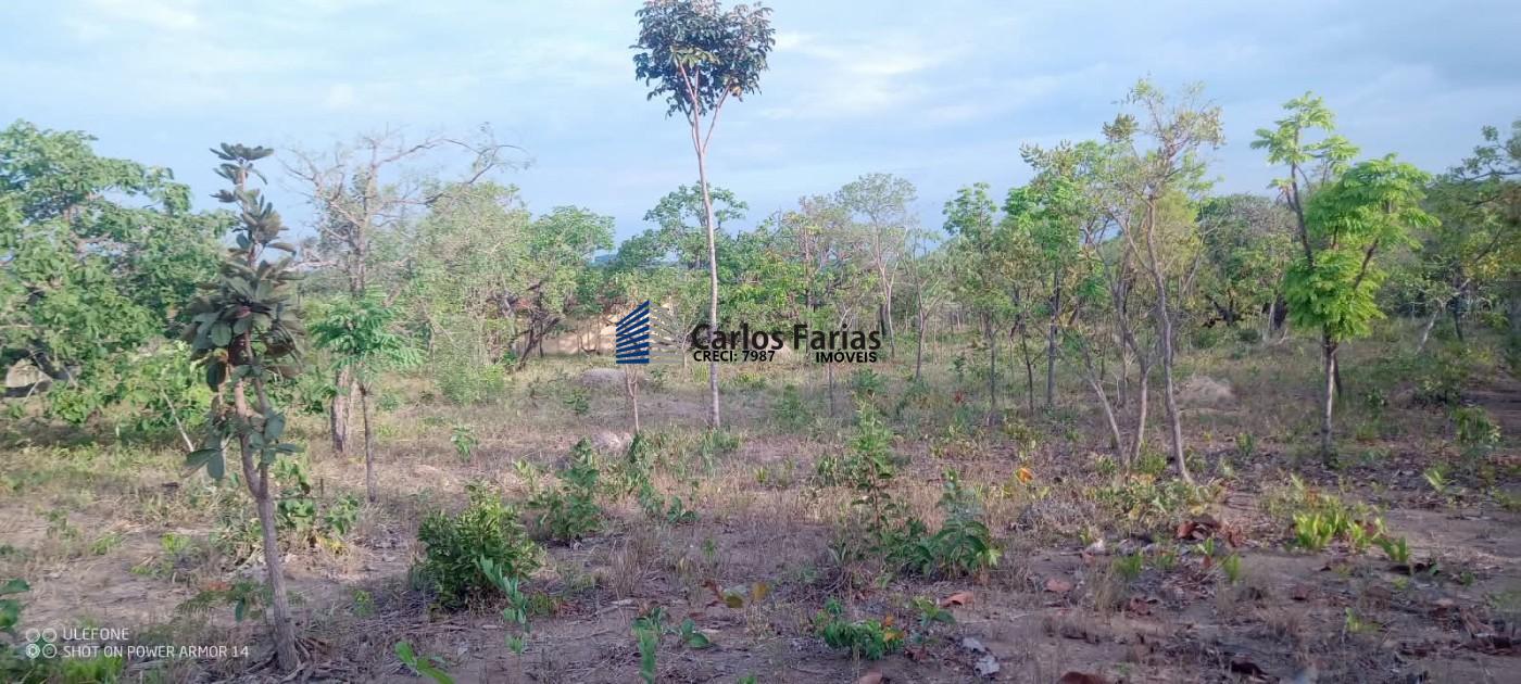 Chácara, 2 quartos, 10000 m² - Foto 52