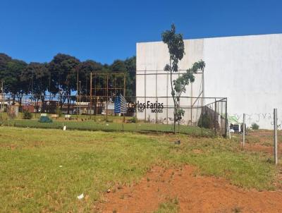 Terreno Comercial para Venda, em Bras�lia, bairro Ceil�ndia Norte