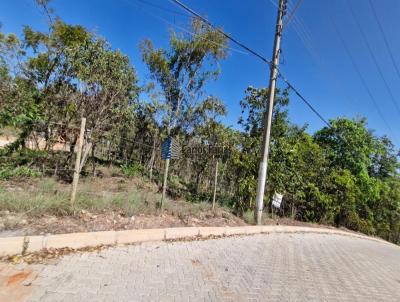 imagem-miniatura
